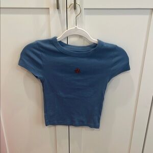 American Eagle Crop Shirt Ladybug Design
